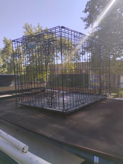 Dog kennel (large breed)