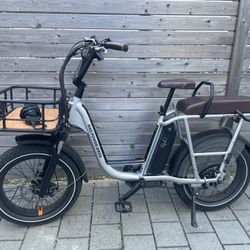 RadRunner Plus 1 E-Bike - 750 Watt Motor