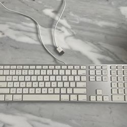 Apple Keyboard A1243 USB 2.0