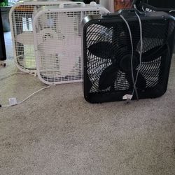 3 Box Fans