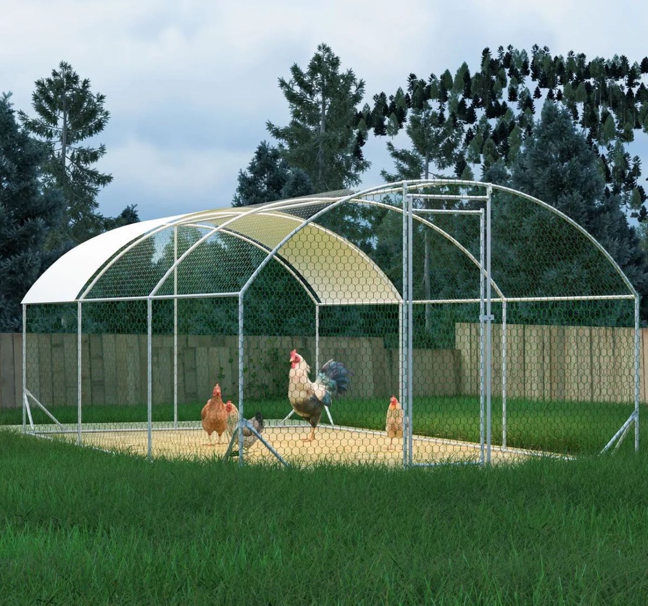 6x3x2 m large chicken coop (19.69 x 9.84 x 6.56 ft)