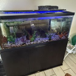 70 Gal Aquarium And Stand