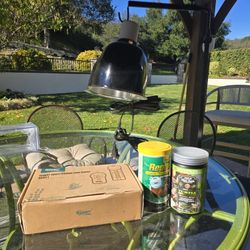 RED EARED SLIDER OR OTHER ANIMAL