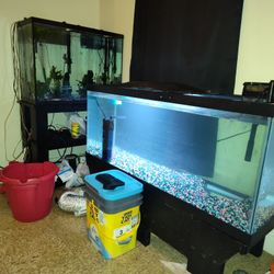 Fish/Aquarium/Assorted fish supply & decor 500OBO