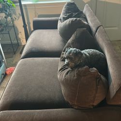 Free Couch 