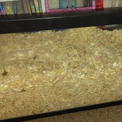 Fish Tank Or Hamster  Cage 