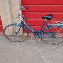 Vintage Schwinn Suburban 