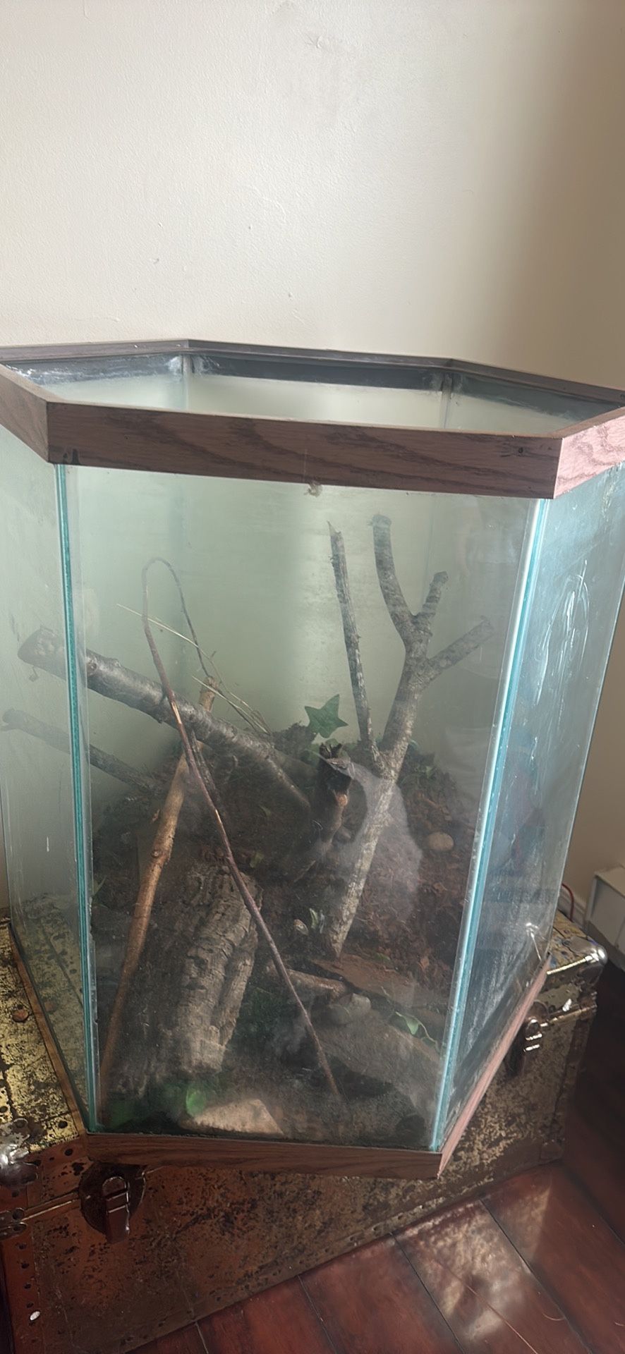 Fish tank 