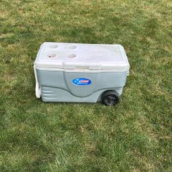 Free Coleman Cooler