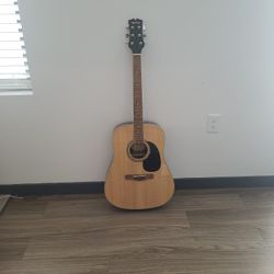 Mitchell D120 acoustic Guitar