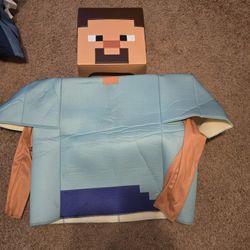 Steve Minecraft Custome - Child 