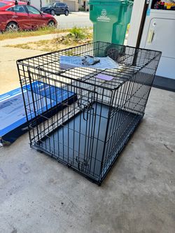 Top Paw® Folding Wire Dog Crate w/ Divider Panel