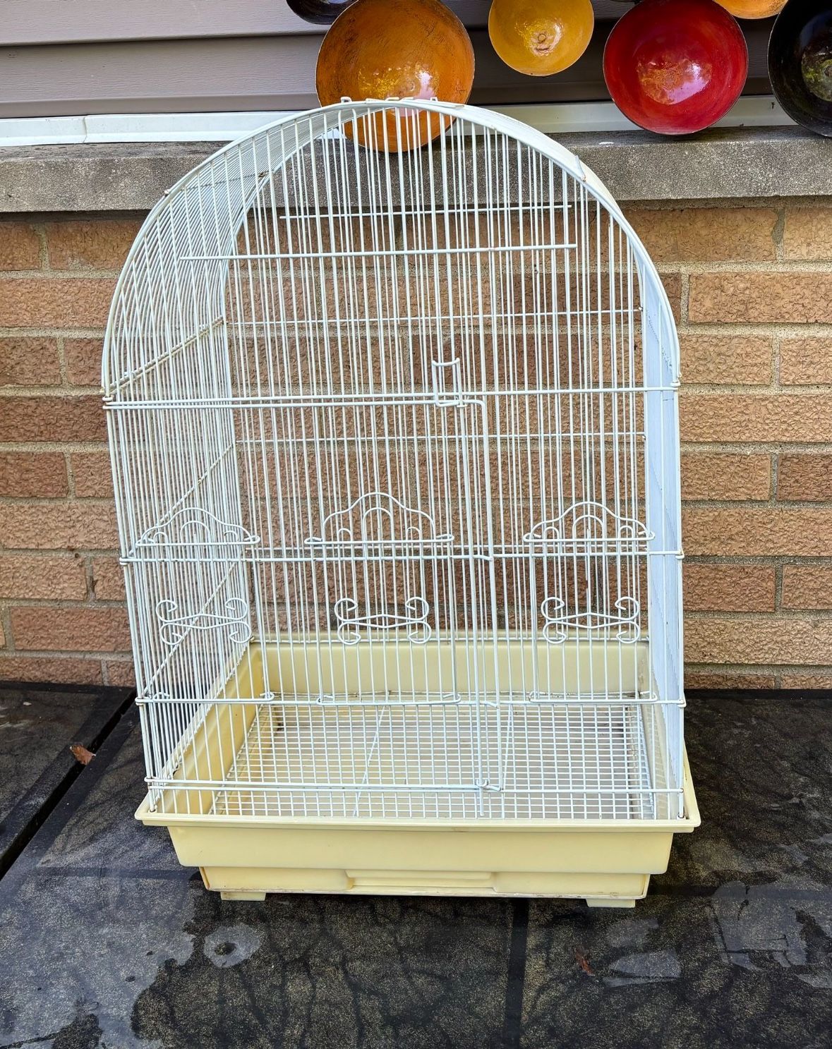 🦜Big Bird Cage 🦜