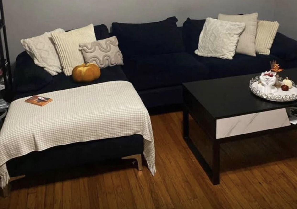 Sectional Couch