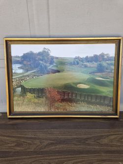 Picture $5