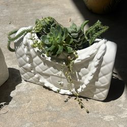 Cute Succulent Planter