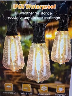Lights - ST38 LED Bulbs - 120ft Outdoor String Light w/Remote