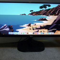 LG 29” Ultrawide Monitor