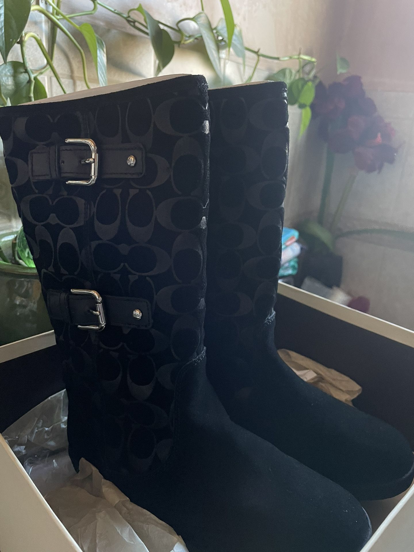 Coach Boots