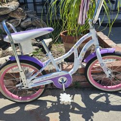 Original Schwinn Bike