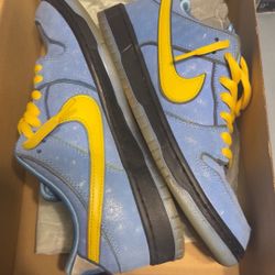 Nike Sb Dunk low the Power puff Girls 