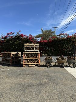 Firewood