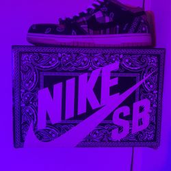 Travis Scott SB Dunks With Special Box