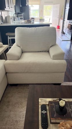 Plush Easy Chair