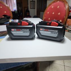  (2) Milwaukee  Battery  Hd 12.0