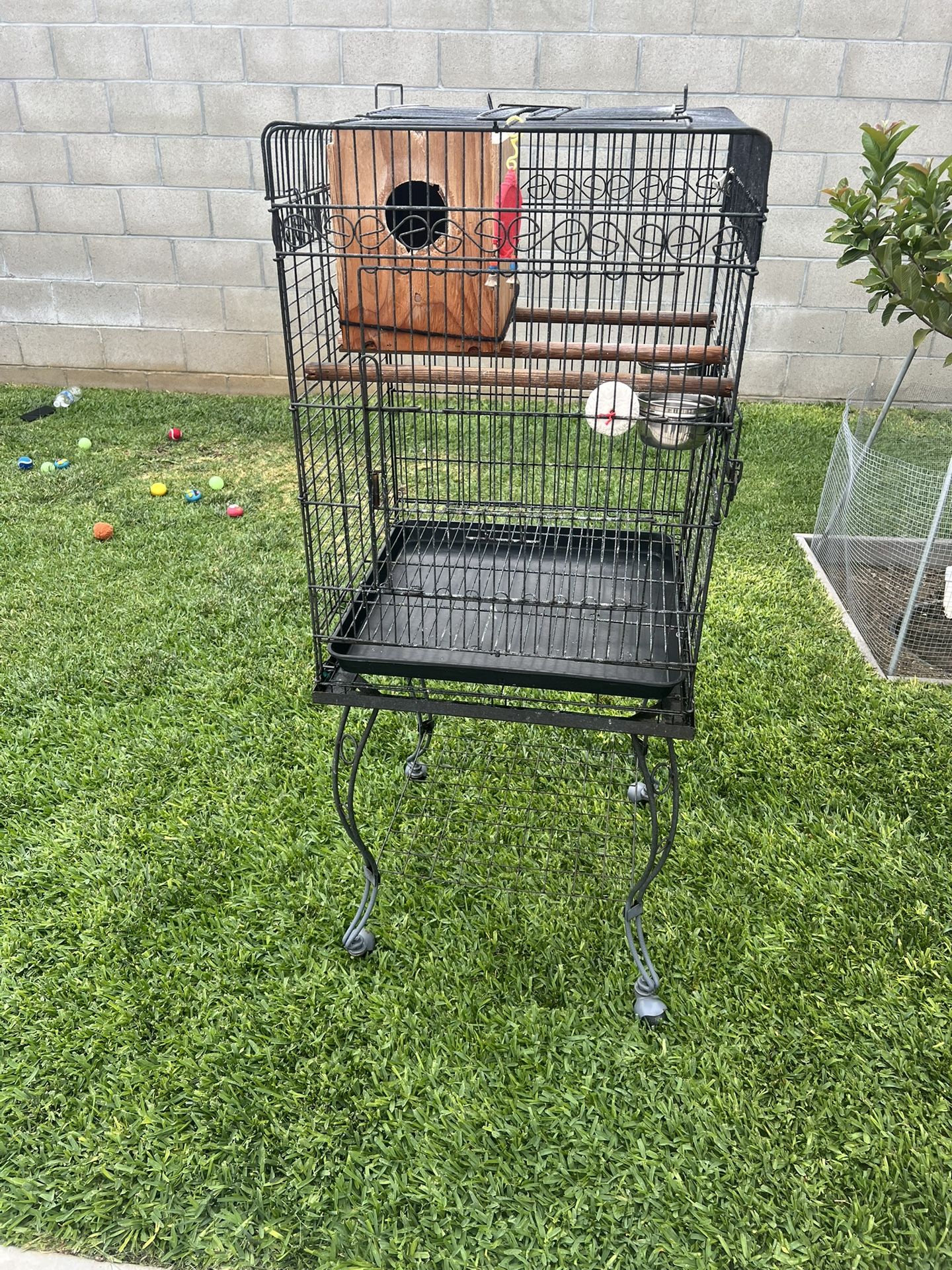 Cockatoo Bird Cage + 10lb of Food