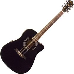 Ebanez Black Acustic  Guitar 