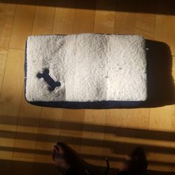 Memory Foam Dog Bed 