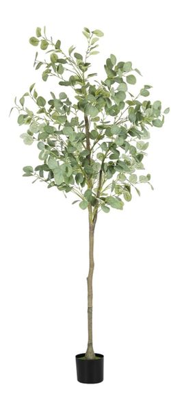 Realistic 6FT Tall Carefully Crafted Silk Eucalyptus Tree in Black Weighted Planter.