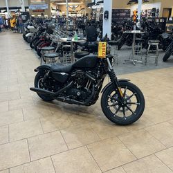 2022 Harley Davidson Iron 883