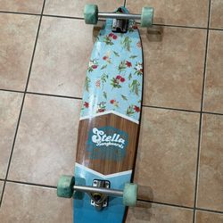Long board skate board