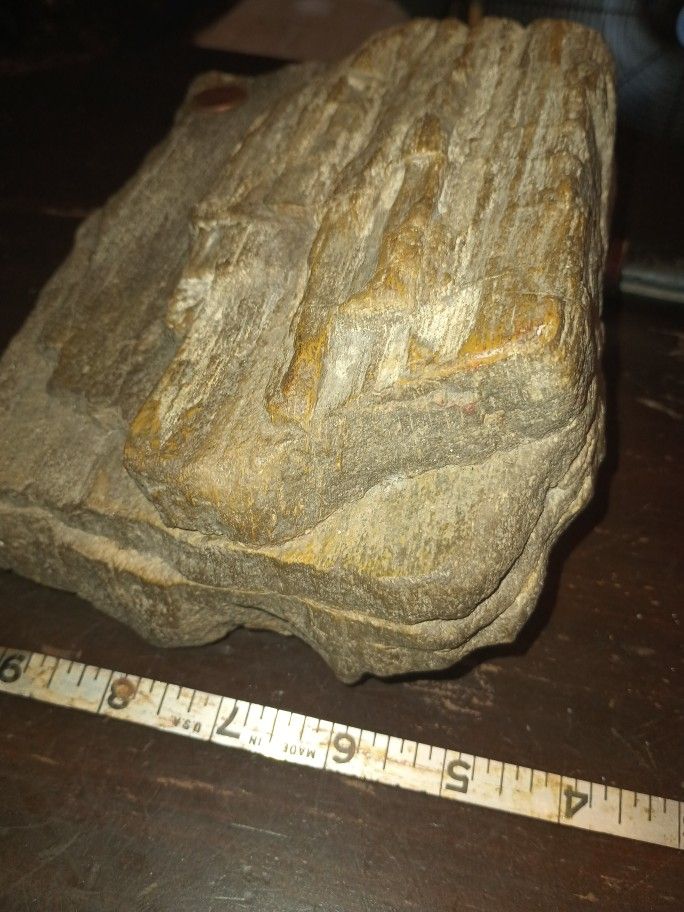 General Petrified Wood, Tree Bark Fossil...
