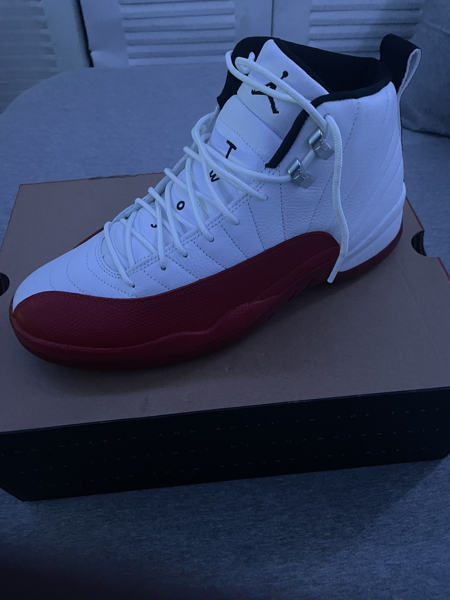 Jordan cherry 12s