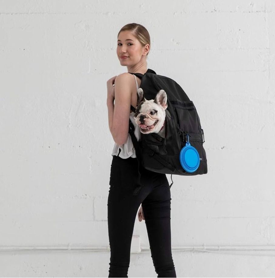 TIMBUK2 Muttmover pet dog Luxe Backpack Medium mesh screen heavy duty Holds 20lb weight