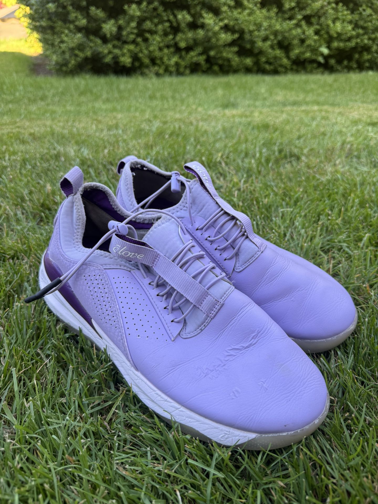 Clove Women's Classic - Lavender, Size 10
