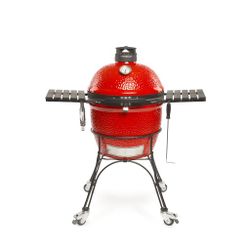 Beautiful Kamado Joe Grill/Smoker