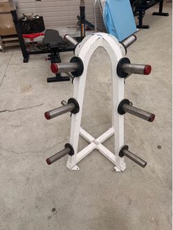 Flex Fitness / Star Trac Weight Tree