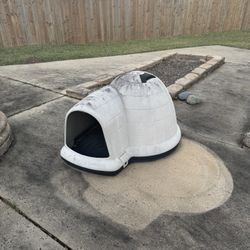 Dog House 