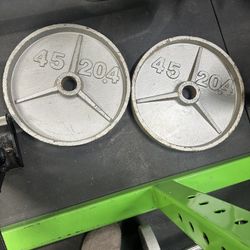 Weights Olympic Set of Two 45 Pound Discs Gym Work Out 