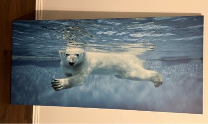 5’ canvas wall art