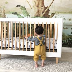 Babyletto Lolly Convertible Crib Pottery Barn