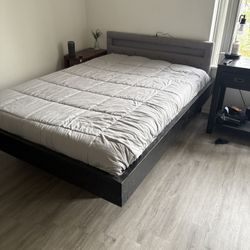 Floating Bedframe + Head Board 