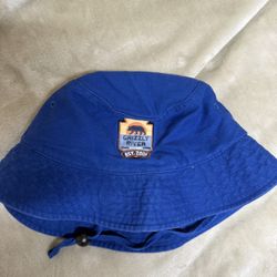 Disneyland Buckethat