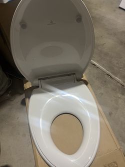 Toilet Seat Training 