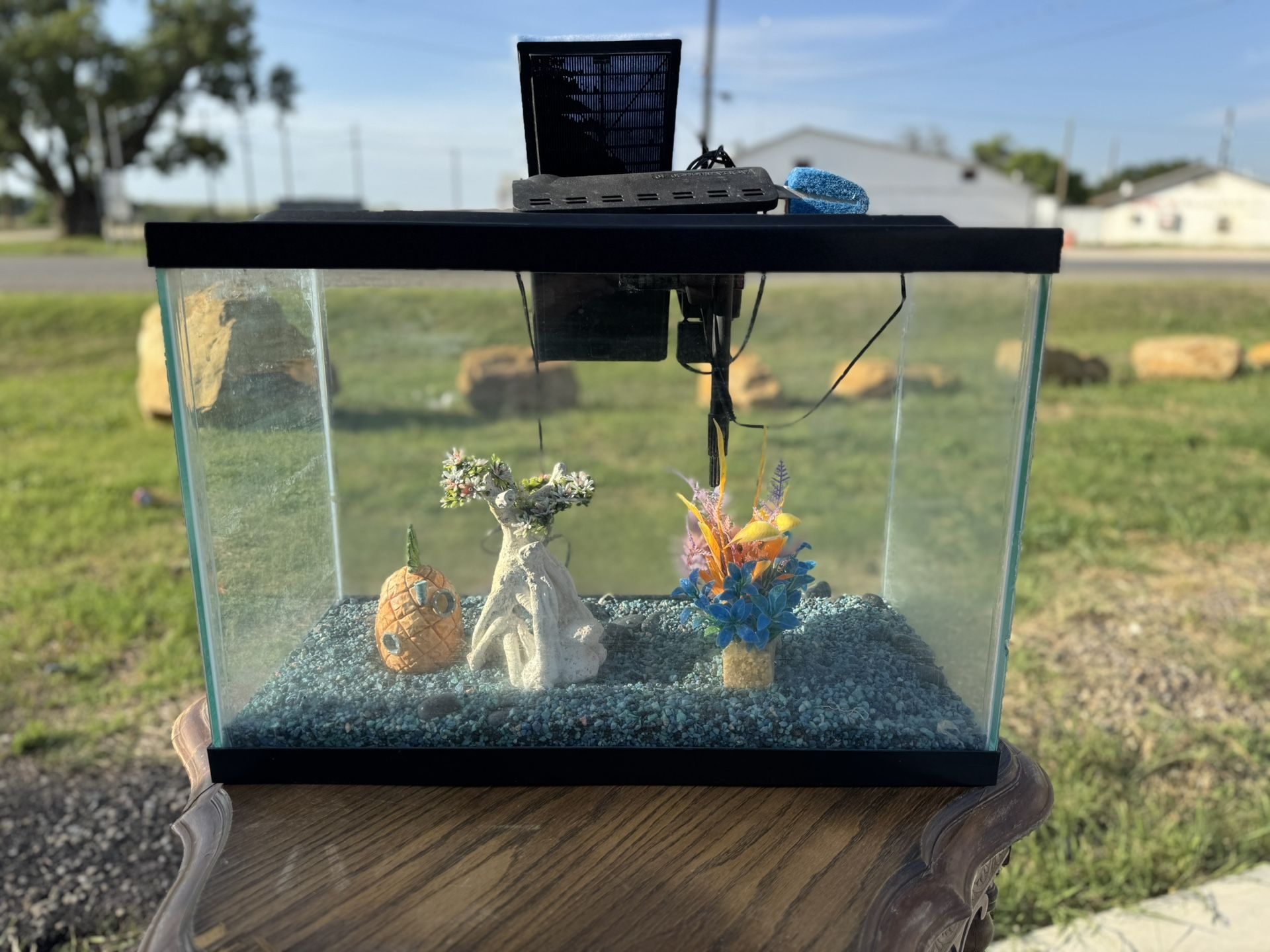 Fish Tank