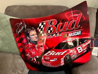 Dale Earnhardt Jr Hood